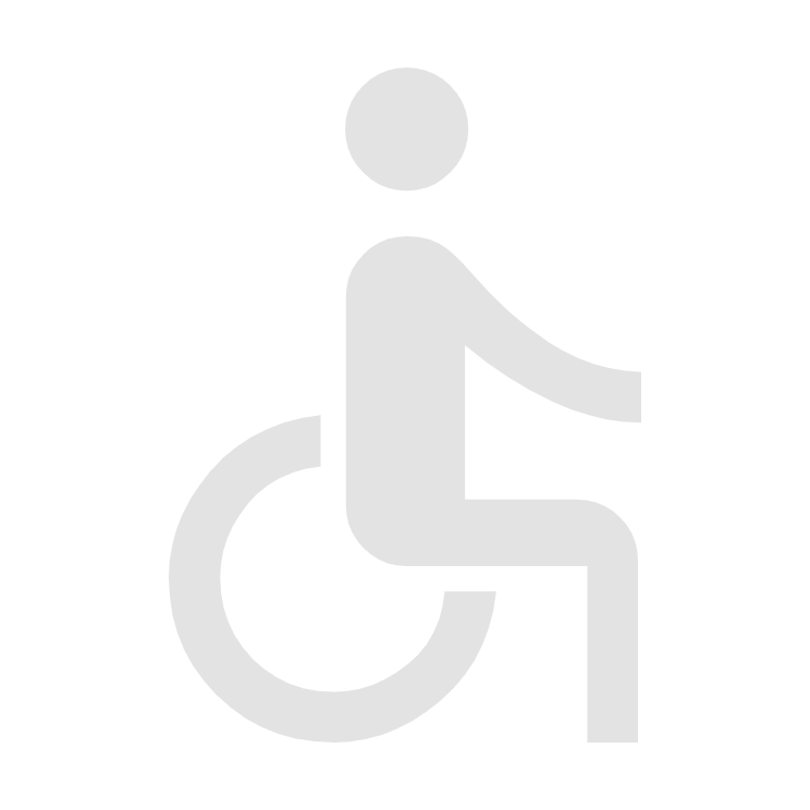 Ícone deficiência motora